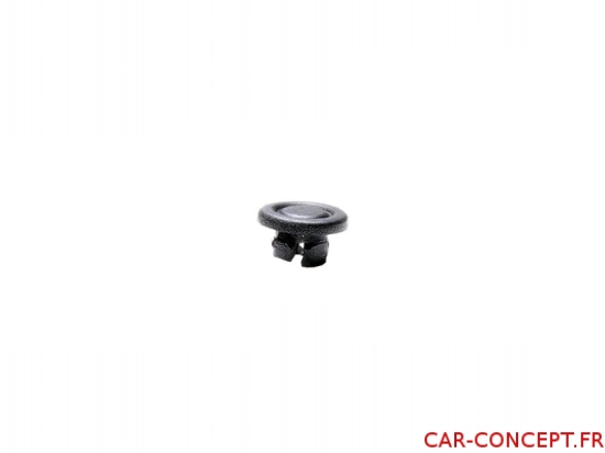 Bouchon de charnière de porte 181 Q+