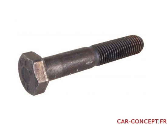 Vis de Fixation d'Amortisseur 63-> M12x65mm