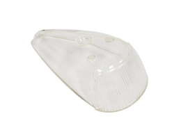 Vitre de clignotant avant blanc 64/74