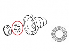 Circlips de tulipe 1302/1303