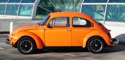 Coccinelle